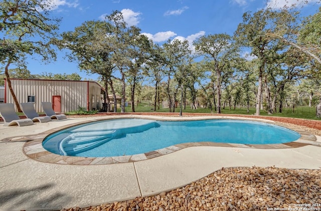 view of pool featuring a patio