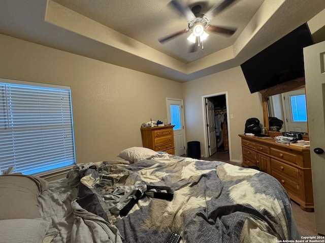 bedroom with a closet, a walk in closet, carpet flooring, a tray ceiling, and ceiling fan