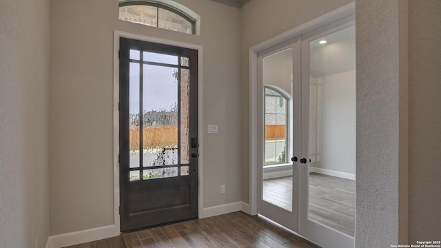 foyer entrance with french doors, plenty of natural light, and dark wood-type flooring