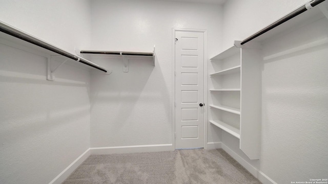 spacious closet featuring light carpet