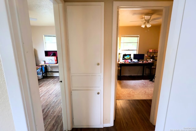 corridor with dark hardwood / wood-style floors and a textured ceiling