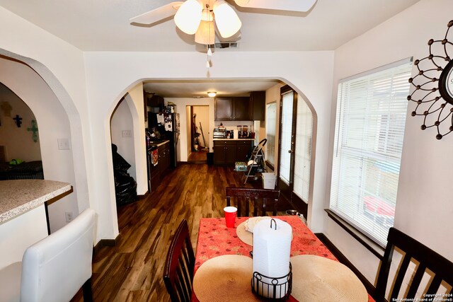 dining space featuring dark hardwood / wood-style flooring, ceiling fan, and plenty of natural light