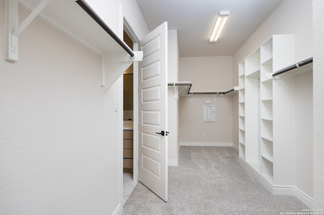 spacious closet with light colored carpet