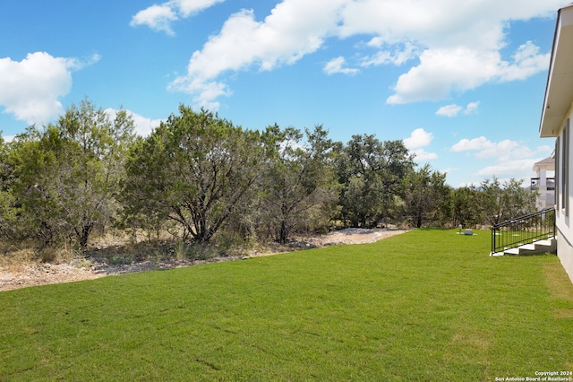 view of yard