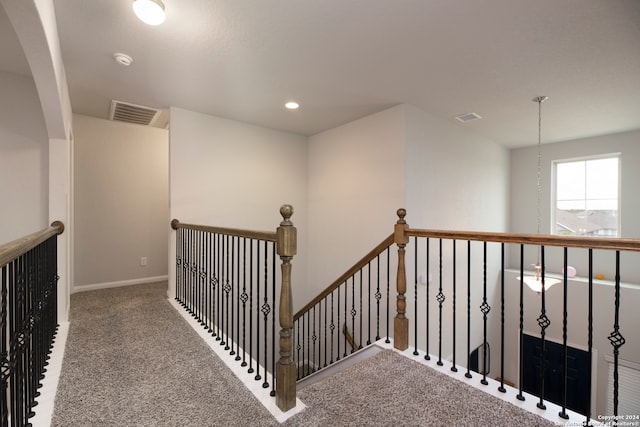 stairway featuring carpet floors