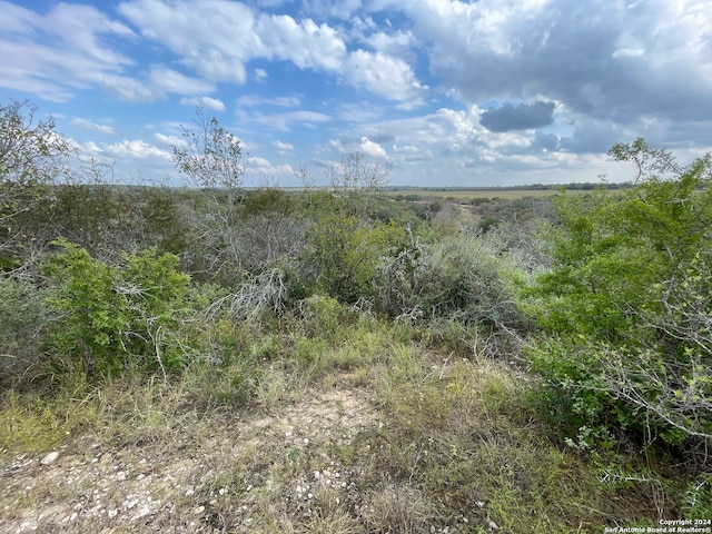 Listing photo 2 for 679 County Road 4614, Castroville TX 78009