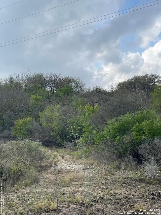 Listing photo 3 for 679 County Road 4614, Castroville TX 78009