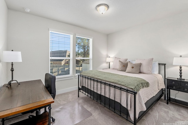 bedroom featuring carpet floors