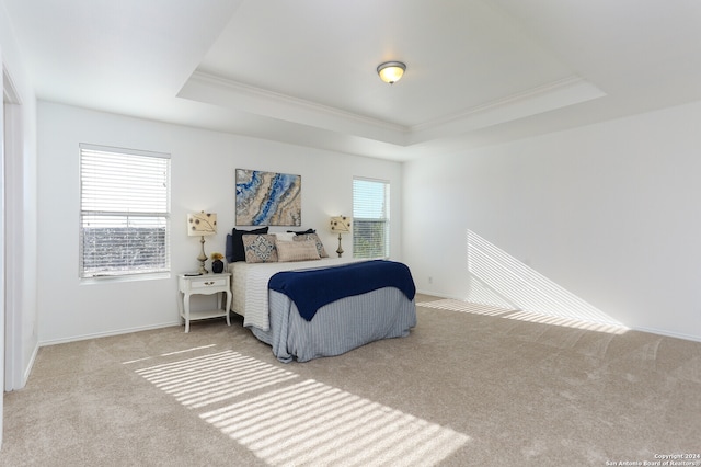 carpeted bedroom with ornamental molding, multiple windows, and a tray ceiling