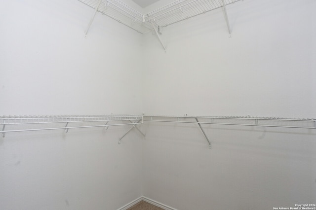 view of walk in closet