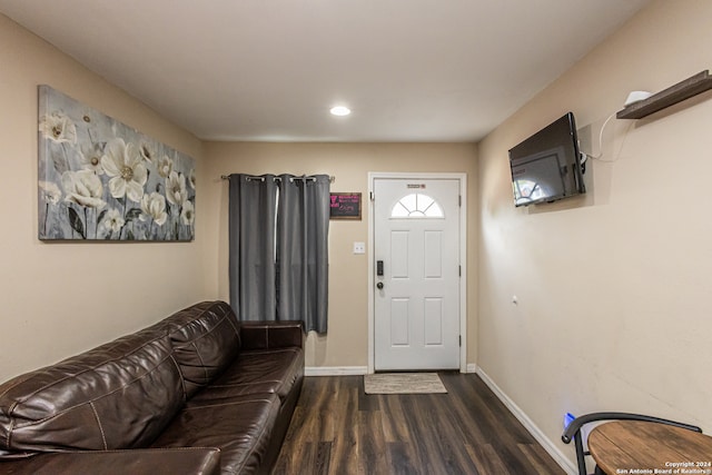 foyer entrance featuring dark wood-type flooring