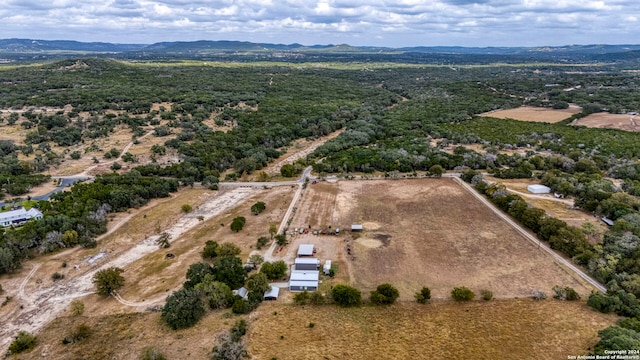 birds eye view of property featuring a mountain view