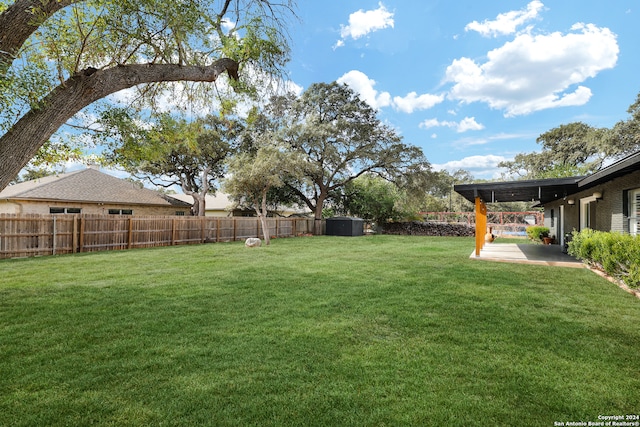 view of yard featuring a patio area