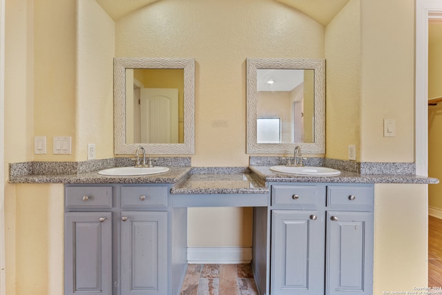 bathroom with wood-type flooring and vanity