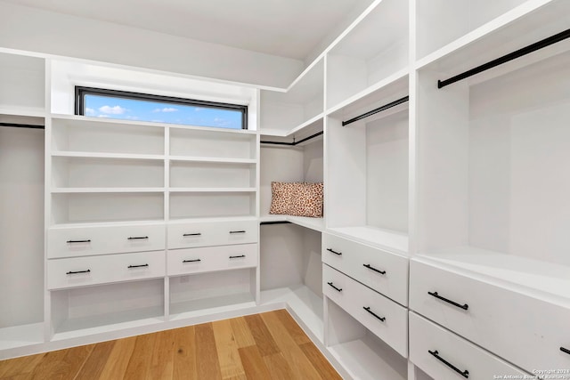 walk in closet with light wood-type flooring