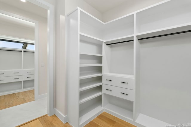 spacious closet with hardwood / wood-style floors