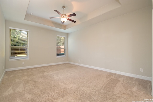 unfurnished room with a tray ceiling, light carpet, and plenty of natural light