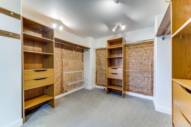 34970AND34900 Smithson Valley Rd, Bulverde, TX 78163 - spacious closet with carpet flooring
