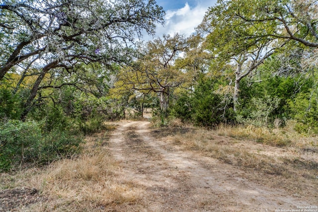 34970AND34900 Smithson Valley Rd, Bulverde, TX 78163 - view of dirt / gravel road featuring a forest view