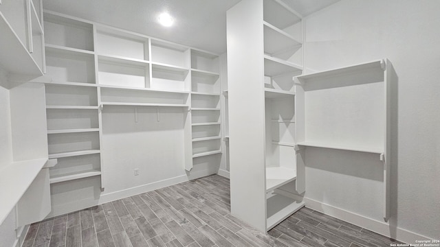 walk in closet with wood-type flooring