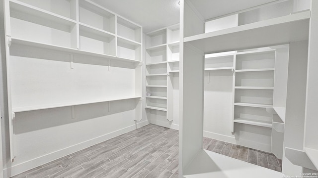 walk in closet featuring wood-type flooring