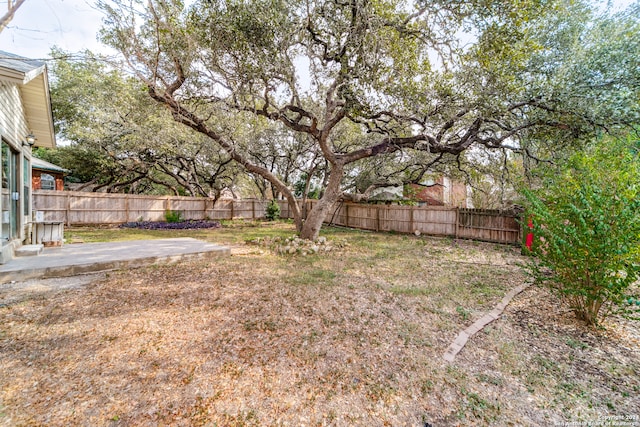 view of yard featuring a patio area