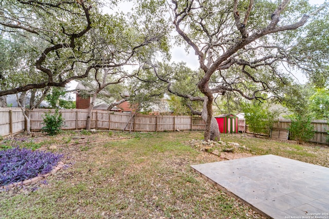 view of yard featuring a storage shed and a patio area