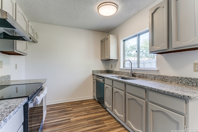 kitchen featuring dark hardwood / wood-style flooring, range hood, gray cabinetry, and stainless steel appliances