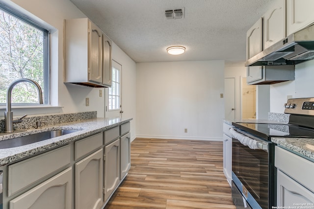 kitchen featuring a healthy amount of sunlight, stainless steel electric range oven, light hardwood / wood-style flooring, and sink