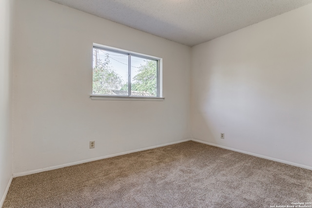 empty room featuring carpet flooring and a textured ceiling