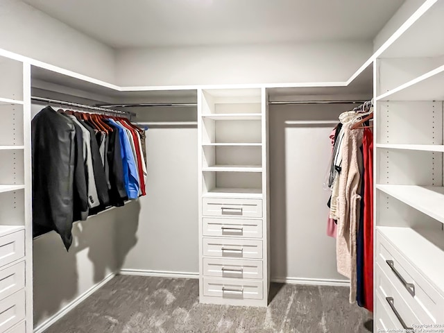 spacious closet featuring dark hardwood / wood-style flooring