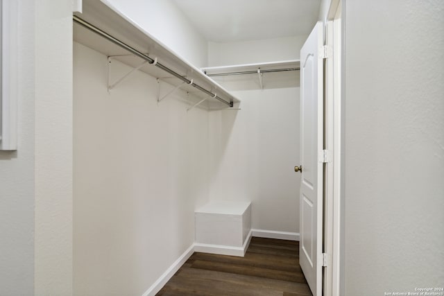 walk in closet featuring dark wood-type flooring