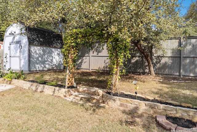 view of yard featuring a shed