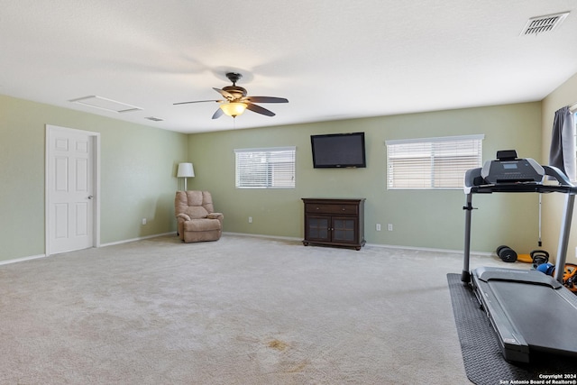 9002 Oakwood Park, San Antonio, TX 78254 - workout area featuring attic access, carpet, ceiling fan, and baseboards