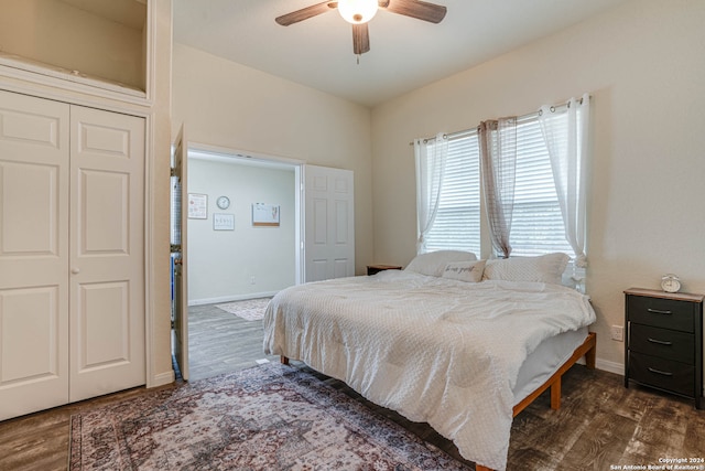 bedroom featuring dark hardwood / wood-style flooring, ceiling fan, and a closet