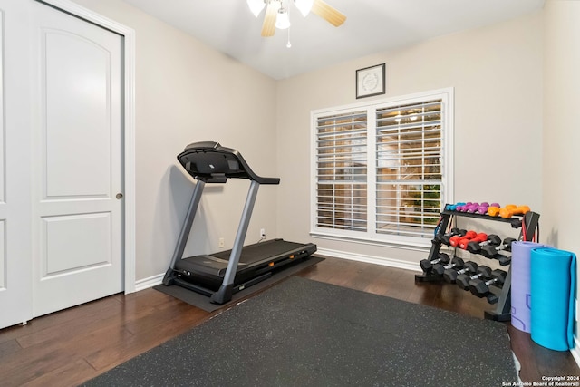 exercise room with ceiling fan and dark hardwood / wood-style floors