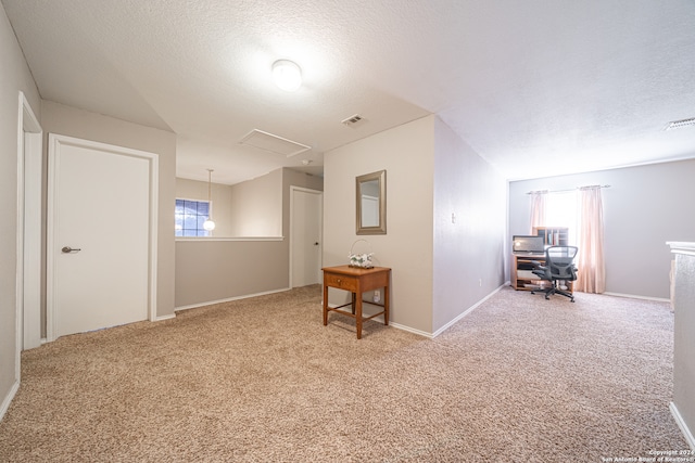 empty room featuring carpet flooring and a textured ceiling