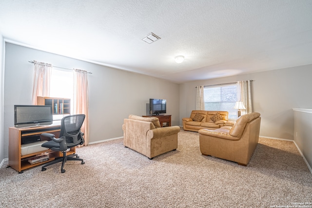 carpeted living room with a textured ceiling