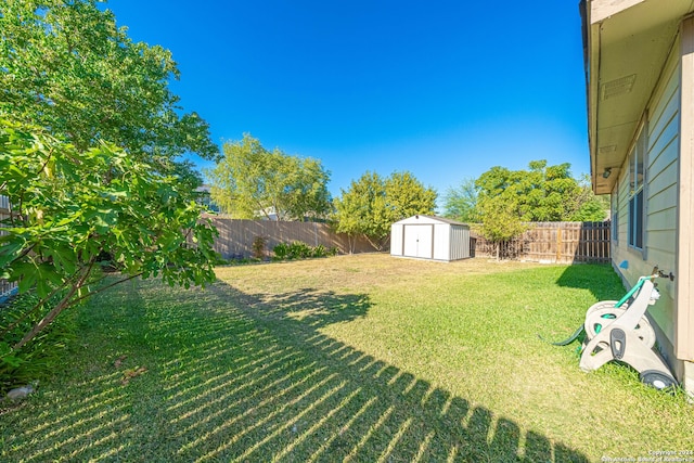 view of yard with a storage shed