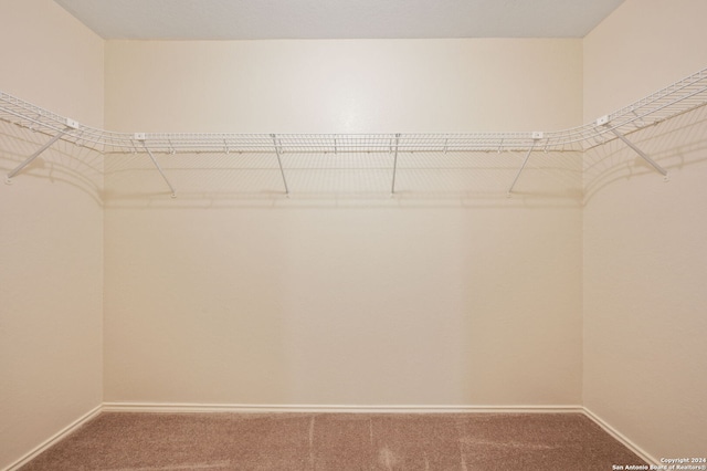 spacious closet with carpet