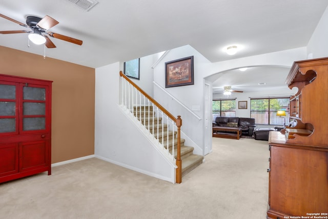 staircase with carpet and ceiling fan