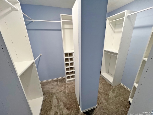 spacious closet with dark carpet