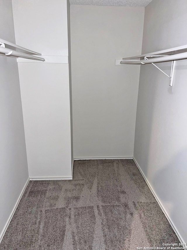 walk in closet with carpet