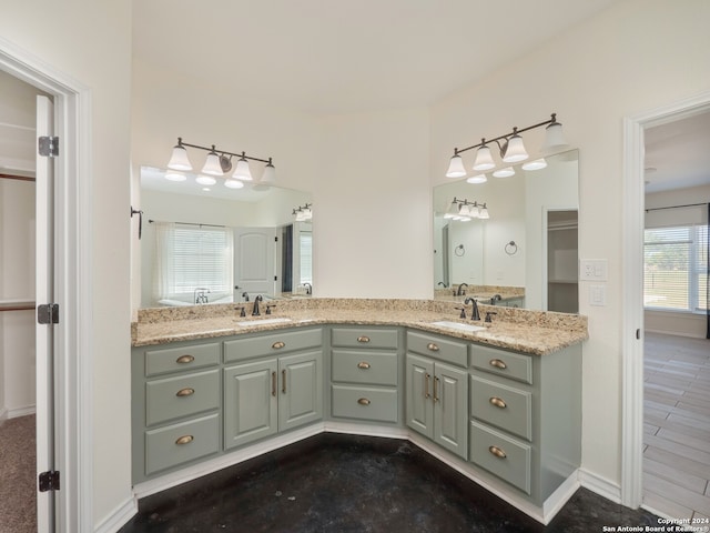 bathroom with hardwood / wood-style floors, a wealth of natural light, and vanity