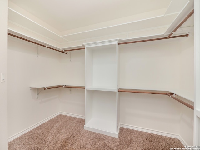 spacious closet featuring light carpet