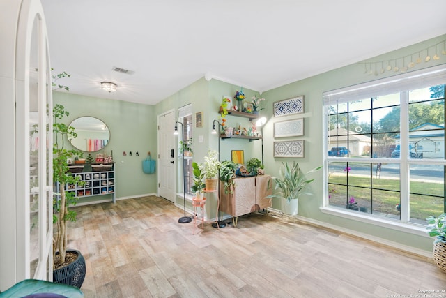 interior space featuring light hardwood / wood-style floors