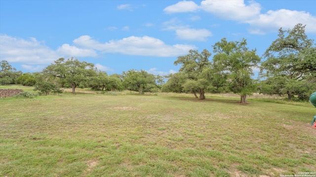 view of yard featuring a rural view