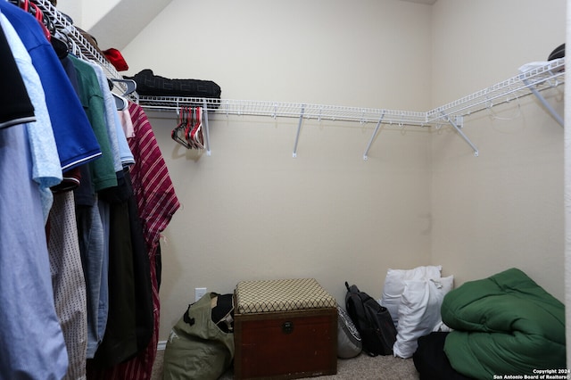 walk in closet featuring carpet flooring