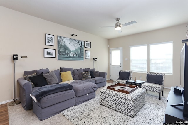 living room with ceiling fan and wood-type flooring