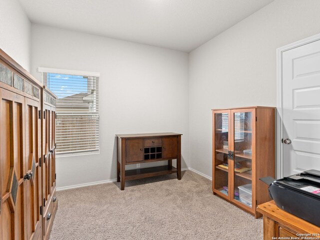 miscellaneous room with light carpet